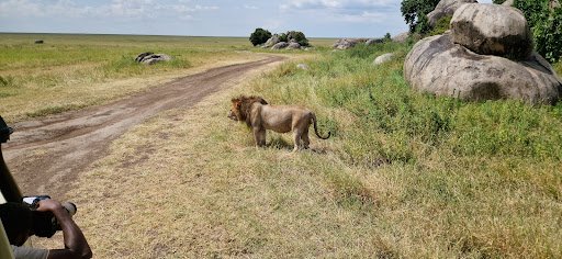 Photo from customer review