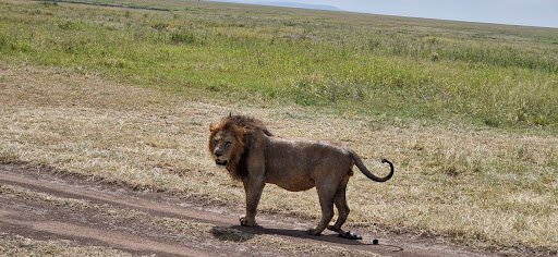 Photo from customer review